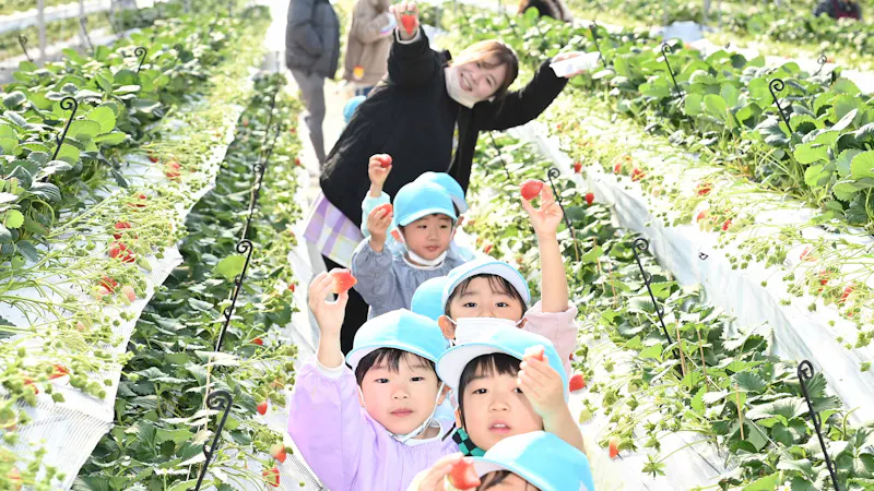 保育所型認定こども園吉川さくらの森の保育理念・方針