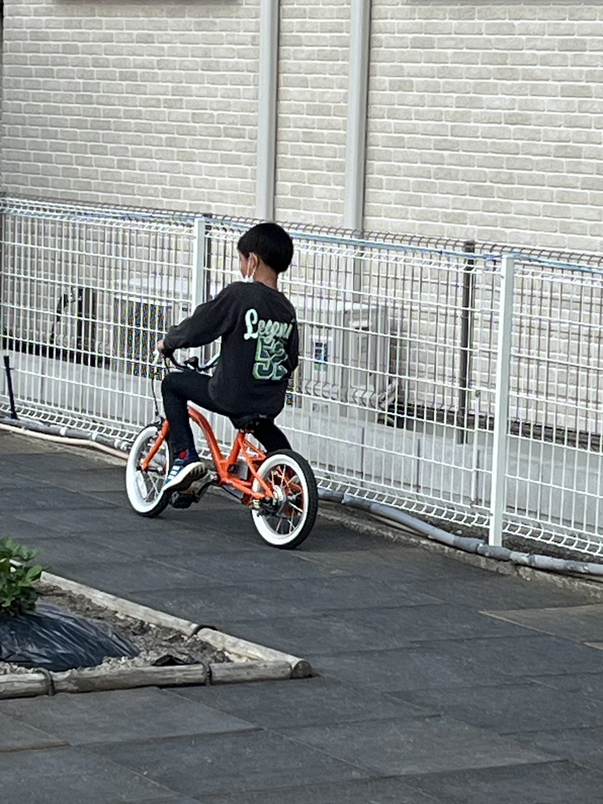 S__2924678.jpg