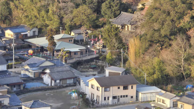 若木保育園の保育理念・方針