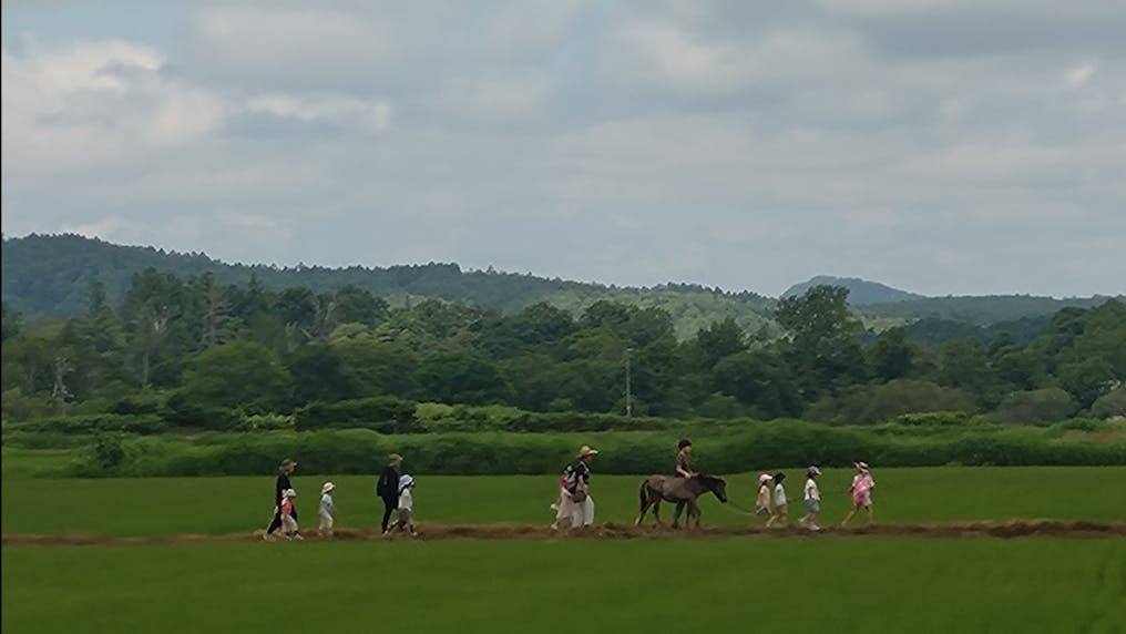 仔馬と歩く水田のさんぽみち