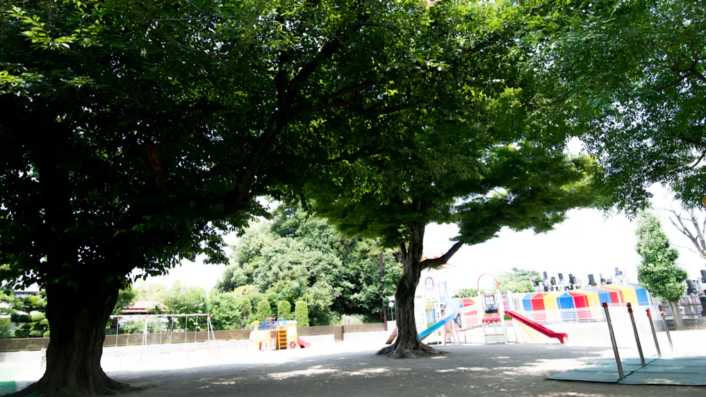広い園庭でのびのび遊べます