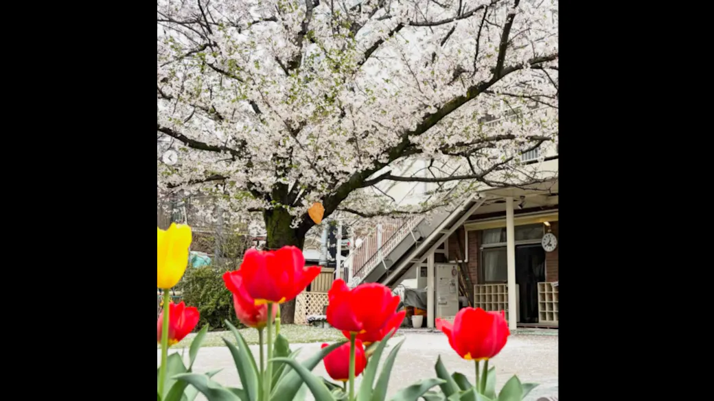 亀有保育園の施設イメージ