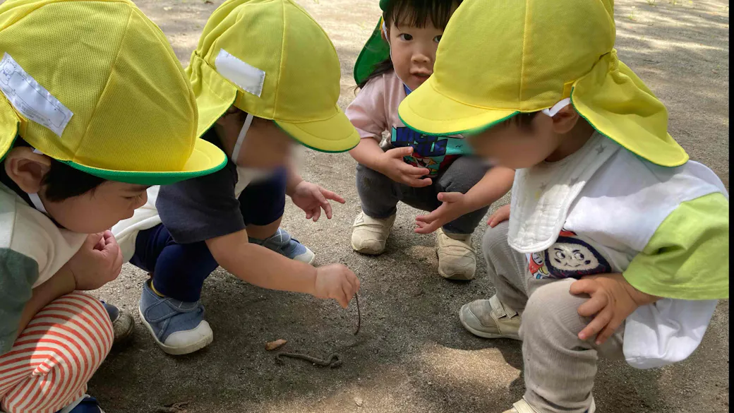 ミミズ発見！！