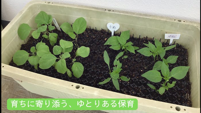完全週休二日制（土日休み）で心も体もリフレッシュ