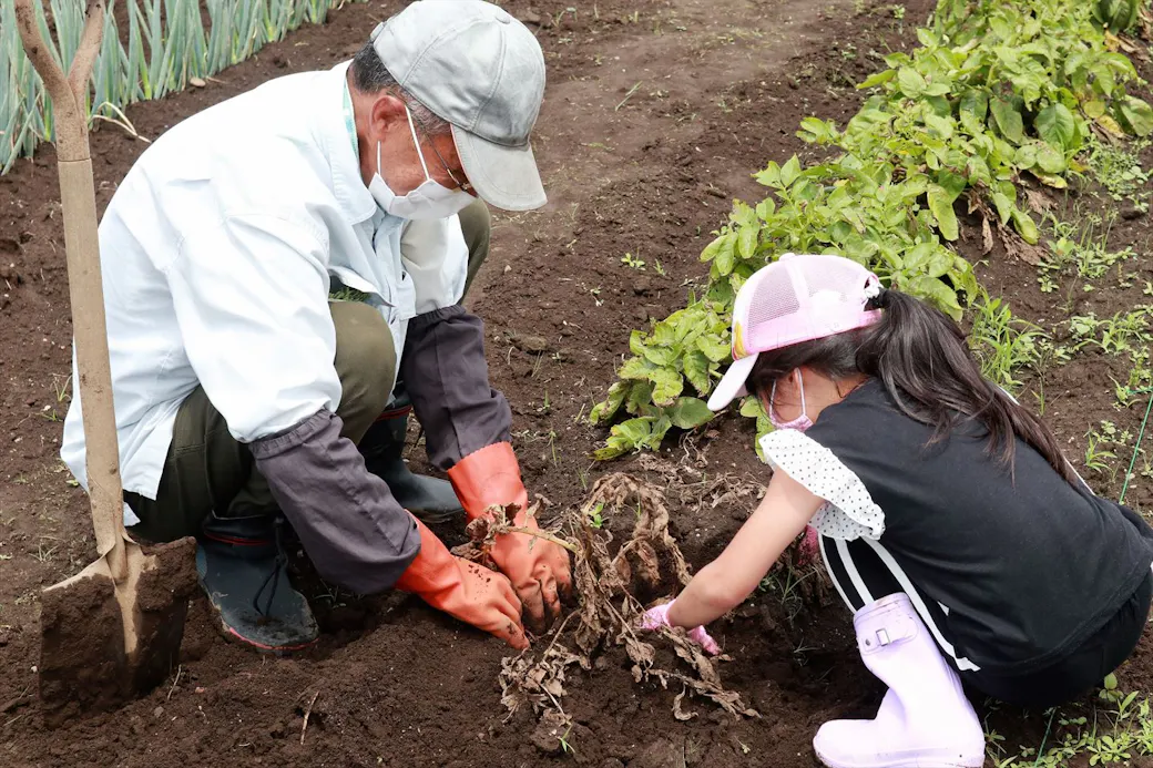 野菜を育てよう