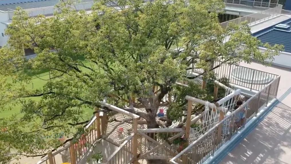楠とツリーハウス