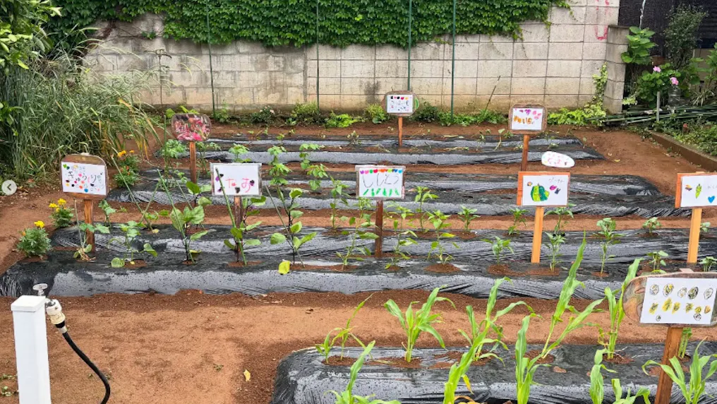 野菜を育てるルンビニー農園