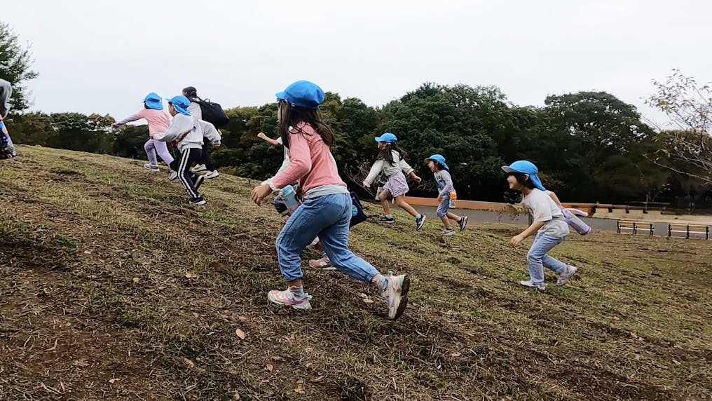 広大な公園