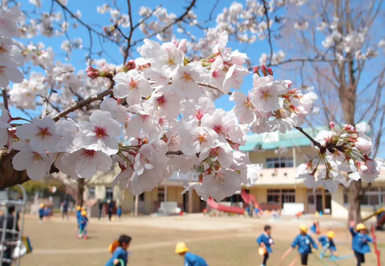 八千把こども園