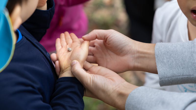 キッズラボ白楽園の保育理念・方針