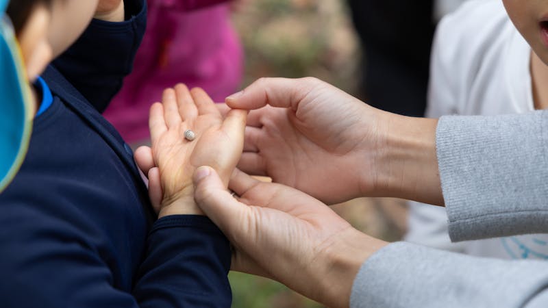 キッズラボ第一・第二横浜楠町園の保育理念・方針