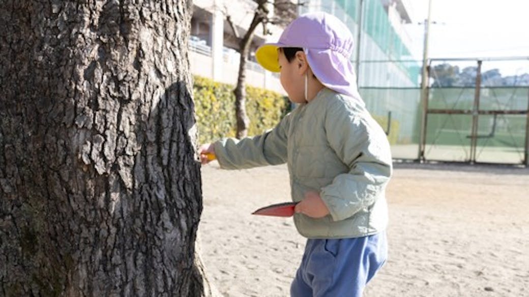 遊びが生まれ遊びこめる