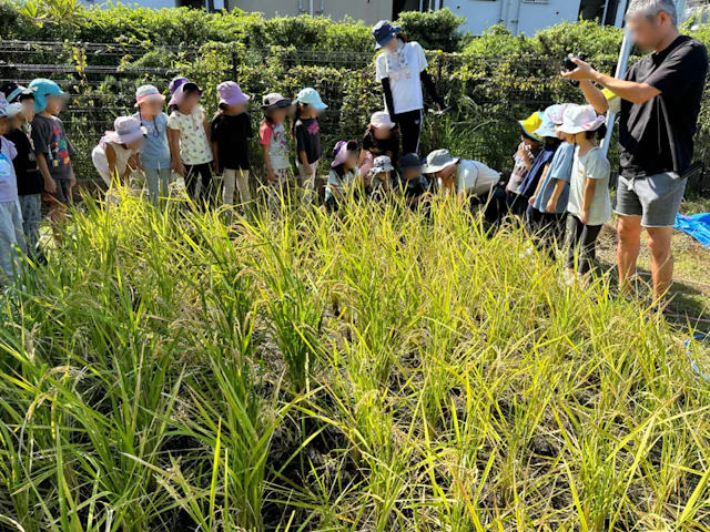 ユーカリ福祉会求人（たかすな保育園）