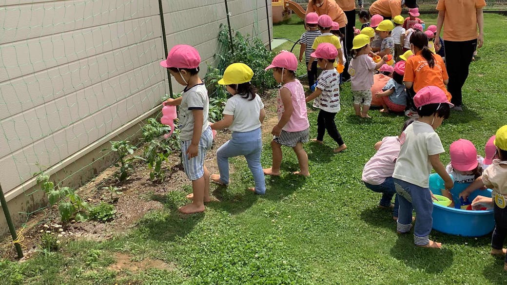 園庭では子ども達と植えた野菜を育てています