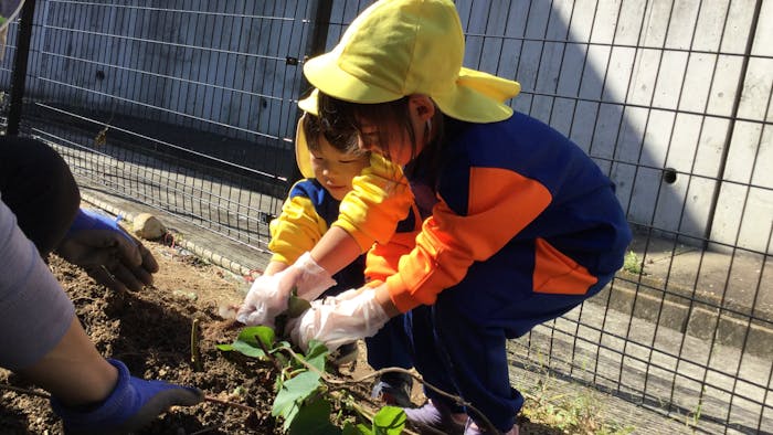 深井中央こども園の保育理念・方針