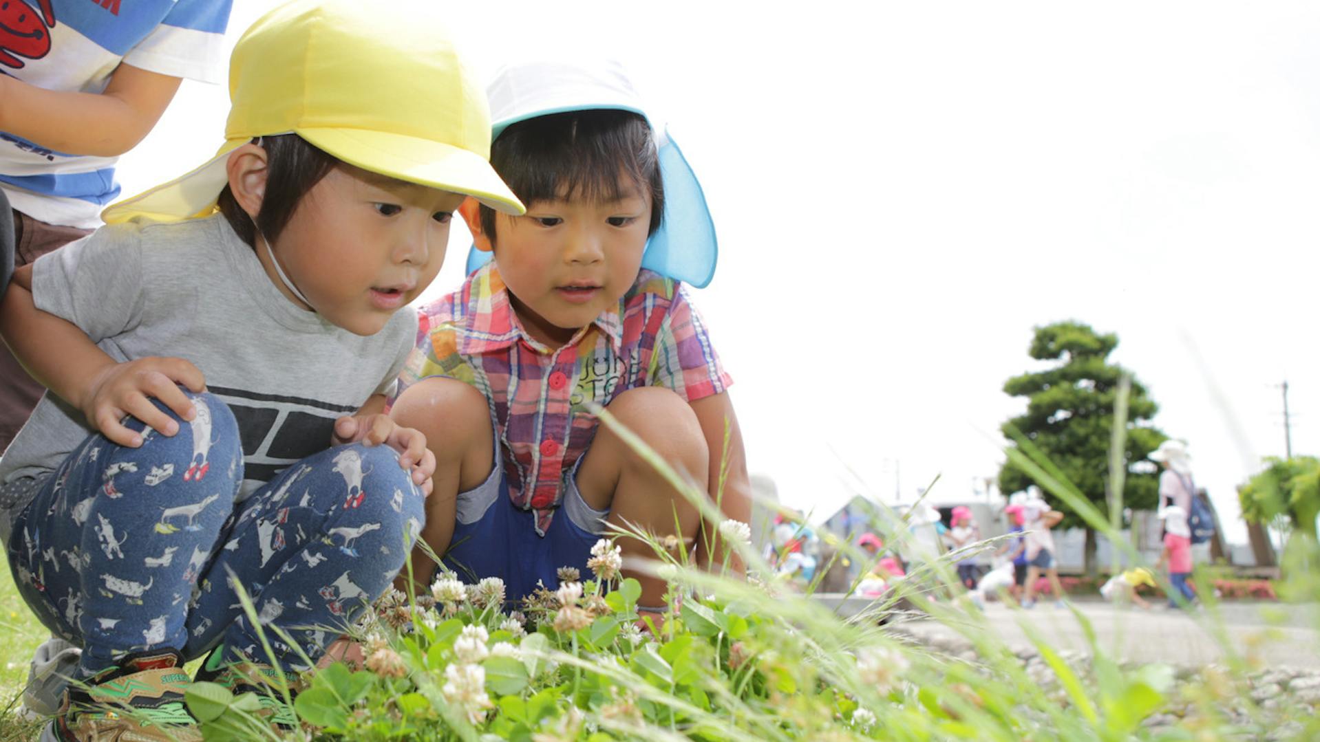 フォロー体制も整っているので安心して働ける職場です
