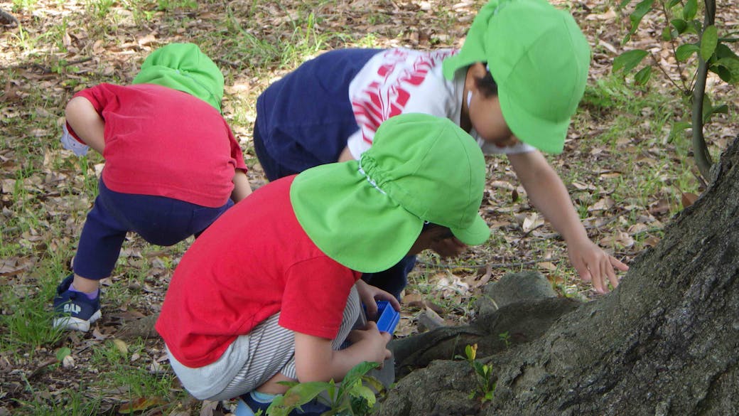 五感を通して感じる・あそぶ　『自然豊かなこども園』