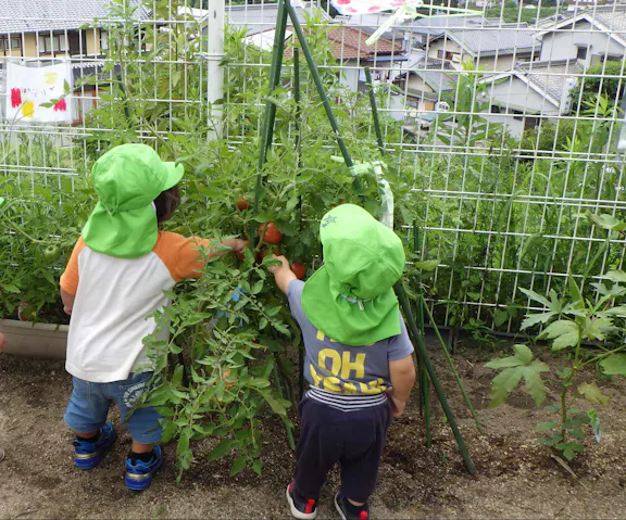 関屋こども園