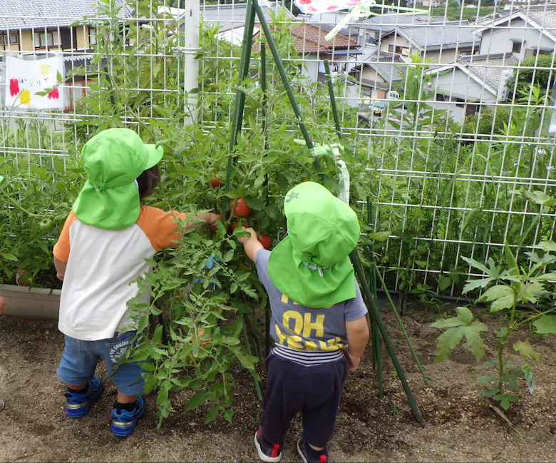 関屋こども園
