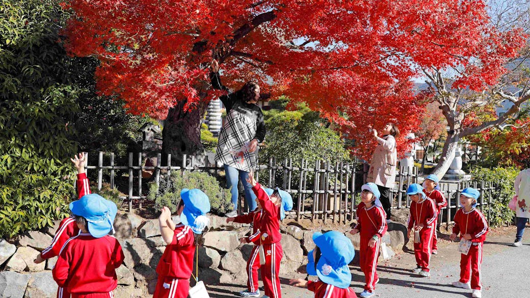 豊かな自然環境で育む健やかな体と心