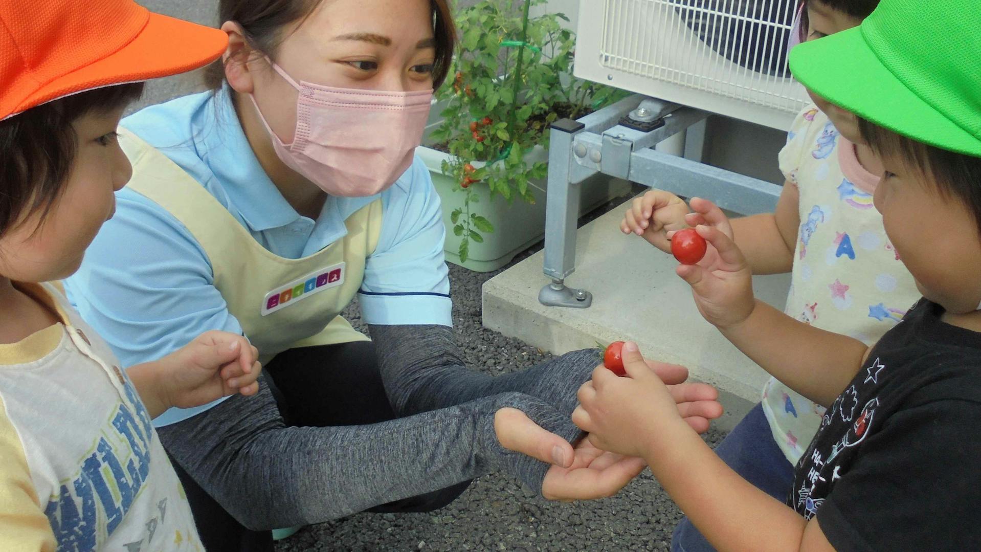 得意分野を活かした働き方ができます。