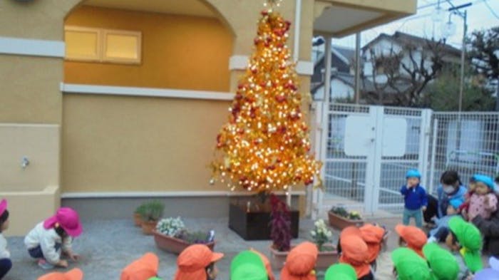 クリスマスには大きなクリスマスツリーを園庭に飾ります！