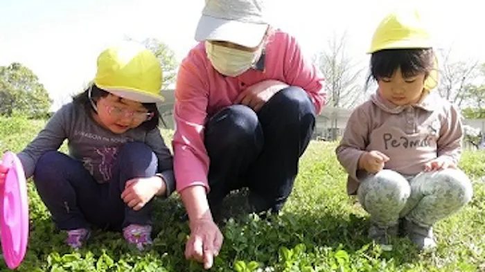 ニチイキッズつしま新野保育園