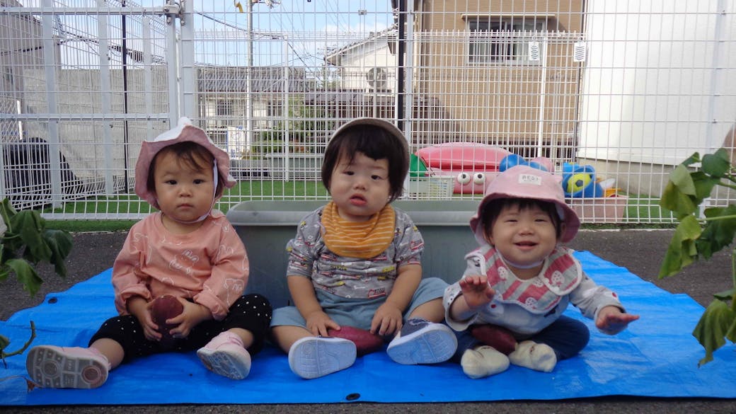 食育活動に取り組んでいます