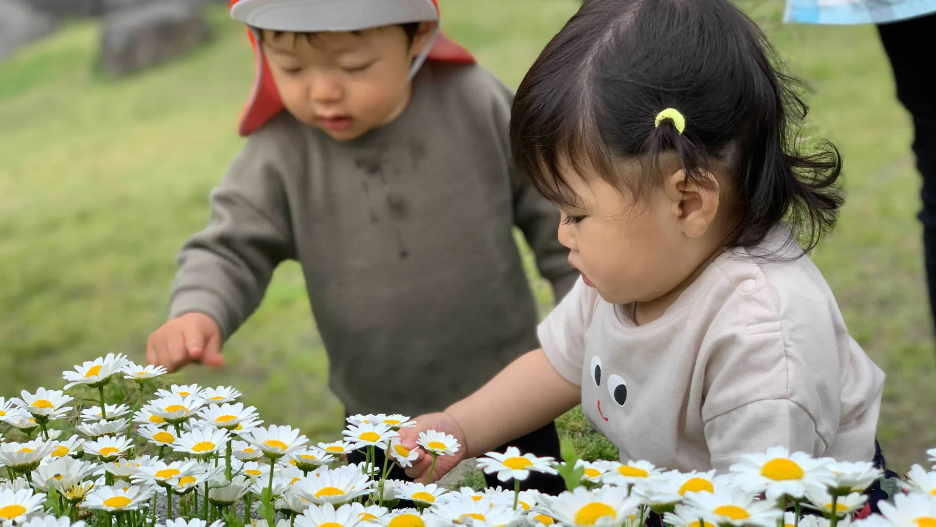 一人ひとりとしっかり向き合える保育☆体調不良児対応募集