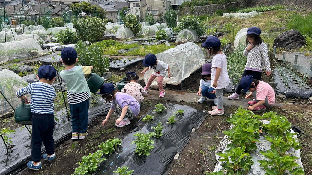 ほしの木シェア畑