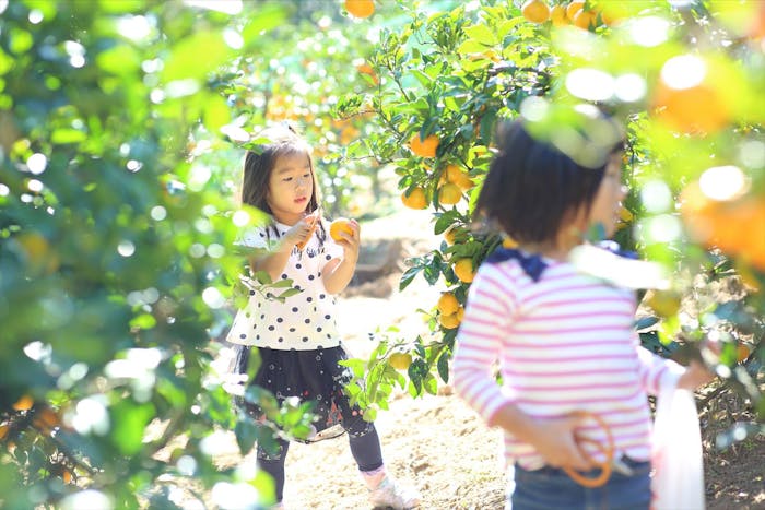 幼保連携型認定こども園　ふたばこども園の保育理念・方針