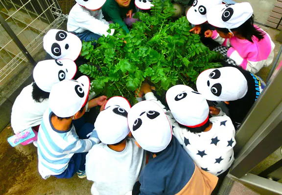 一般社団法人平塚未来企画 子パンダ保育園