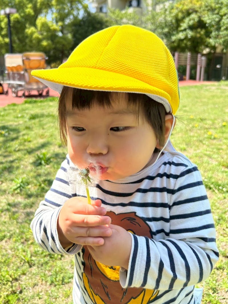 ぴっころ保育園 六本松園の保育理念・方針