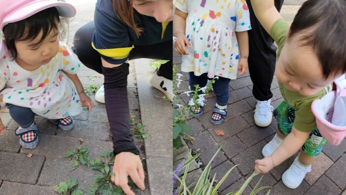 0歳児~2歳児の未満児縦割り保育