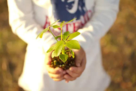 株式会社OAK TREE OAK TREE International School