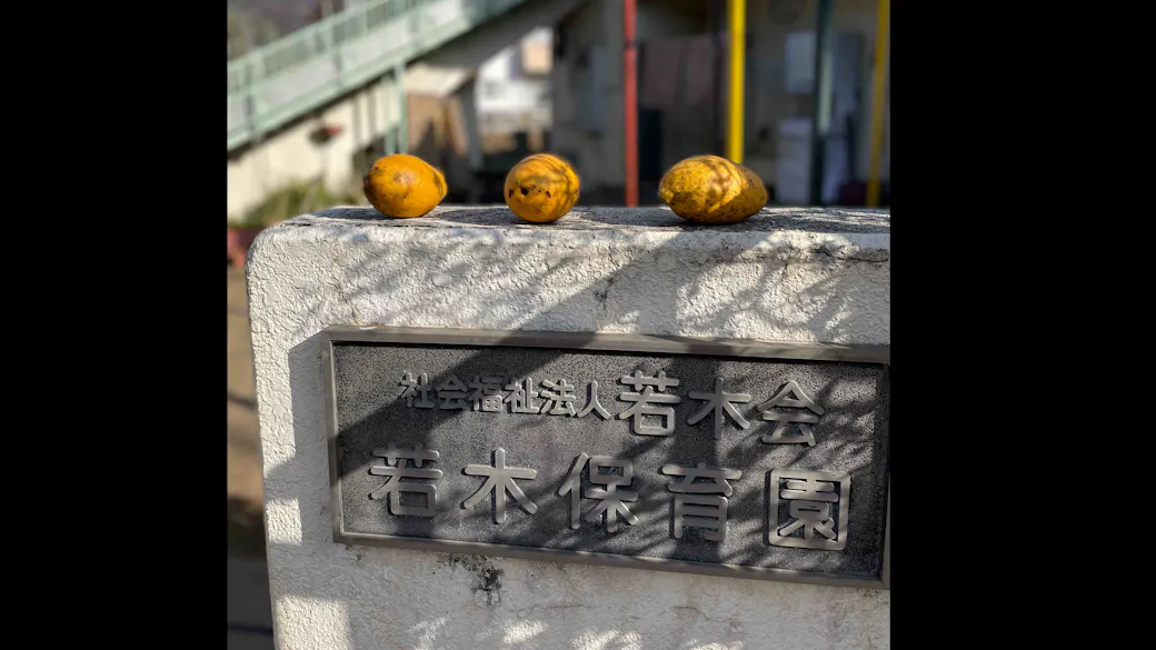 社会福祉法人若木会　若木保育園の施設イメージ