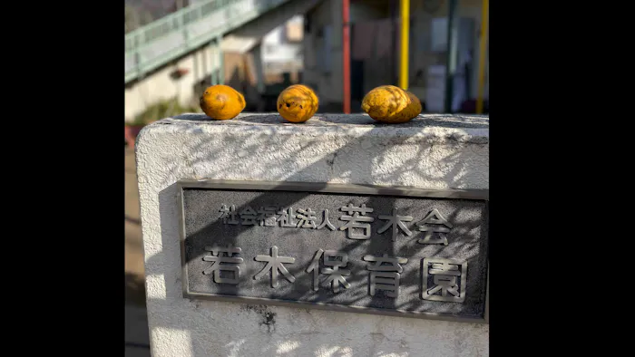 社会福祉法人若木会　若木保育園の施設イメージ