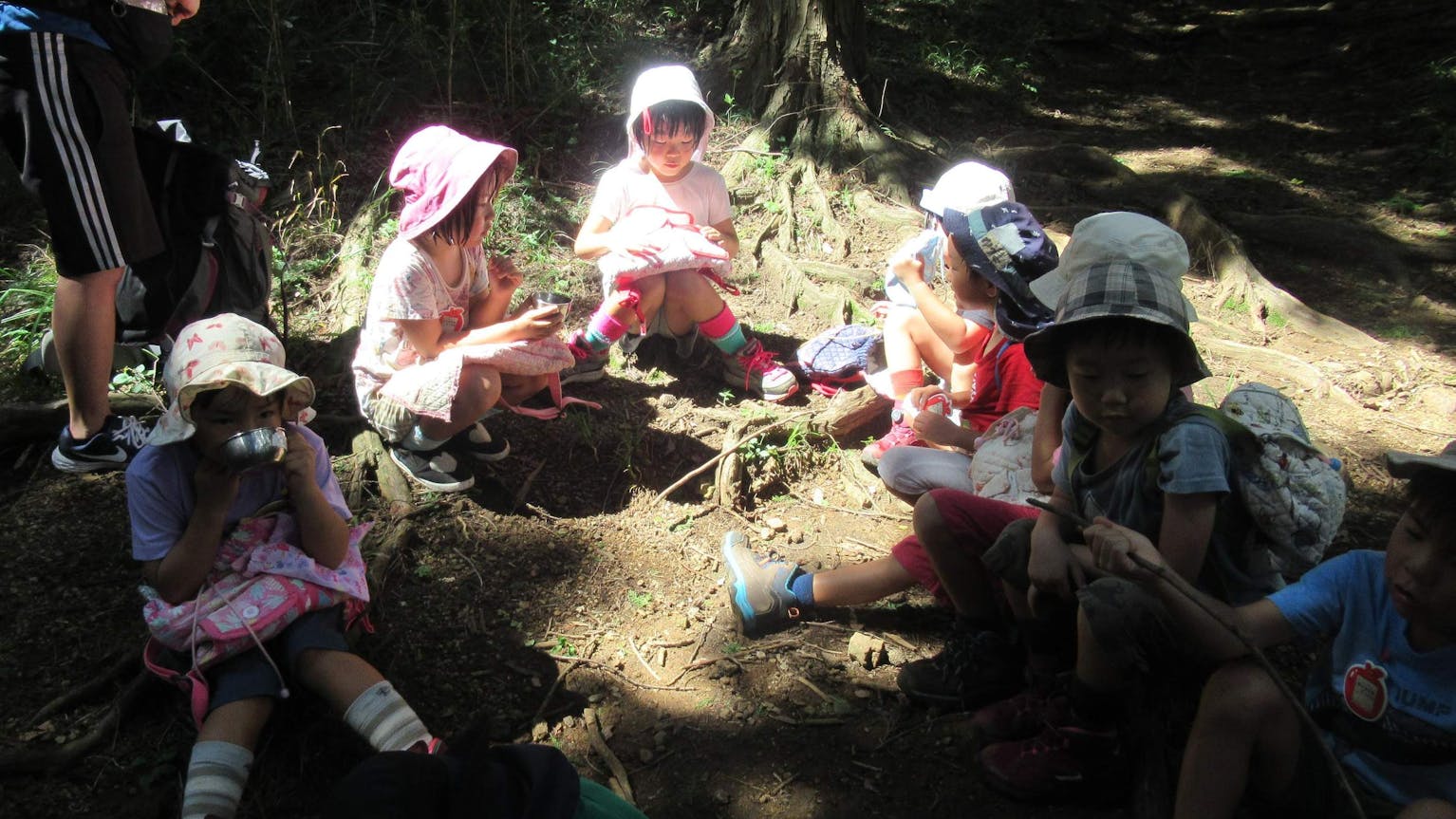 戸外活動が豊富で、保育士としての経験を積める職場です。