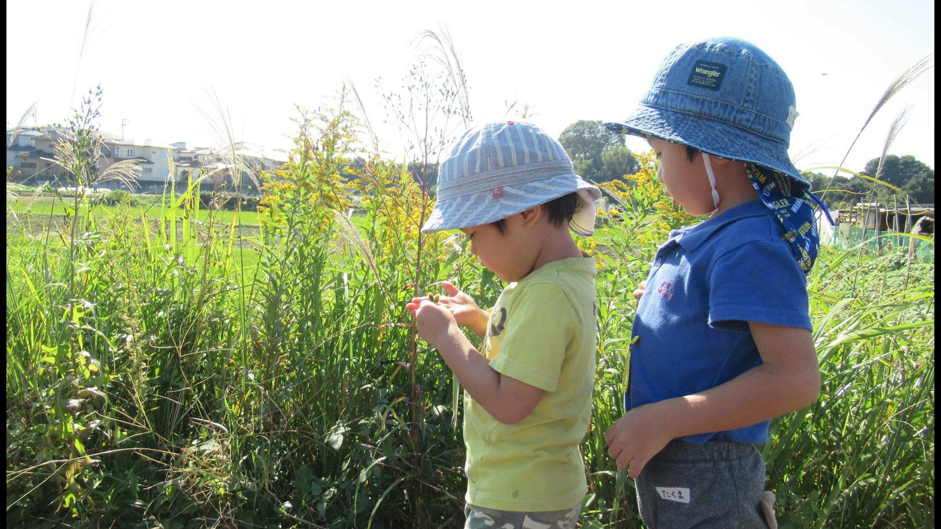 戸外活動が豊富で、保育士としての経験を積める職場です。