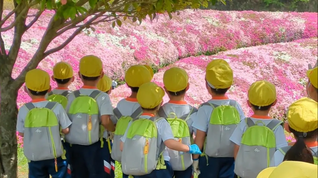 すぐそこに生駒山麓の自然が広がります