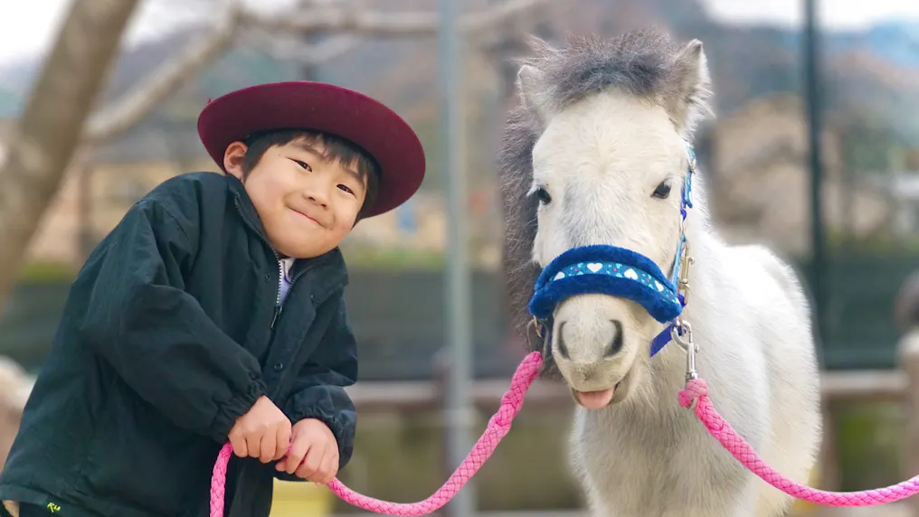 動物がいっぱい！