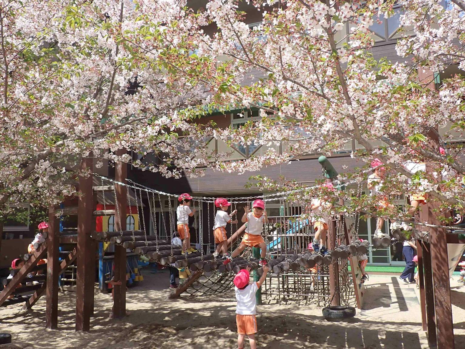 働き方ご相談ください、シフト組みはご希望優先です