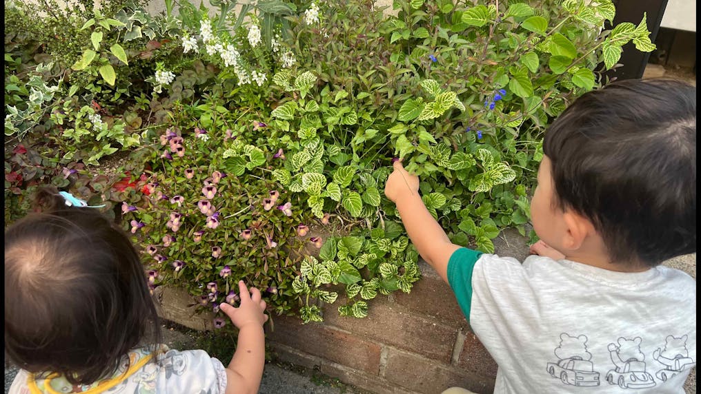 緑あふれるまるでお花屋さんの外観