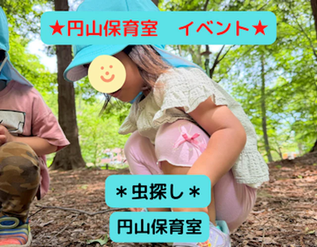 虫探し🔍