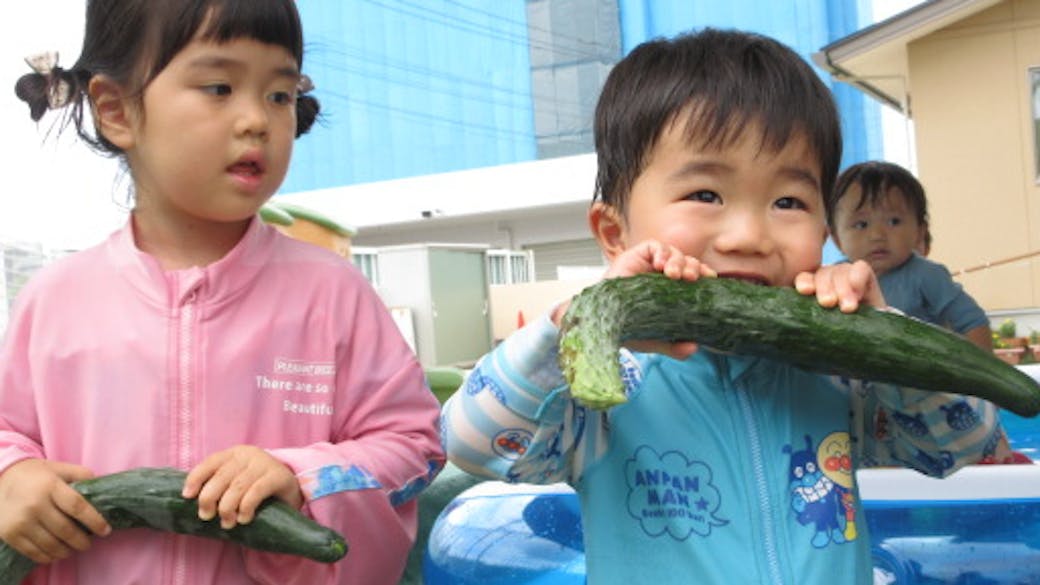 園内の畑で採れた野菜美味しいよ