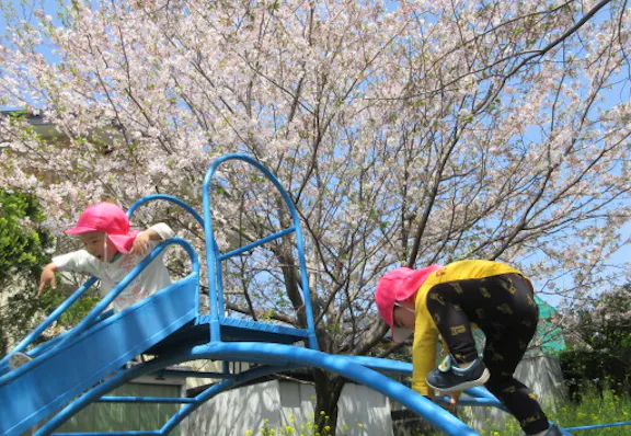 特定非営利活動NPOこどもサポート・みんなのおうち みんなのおうち保育園