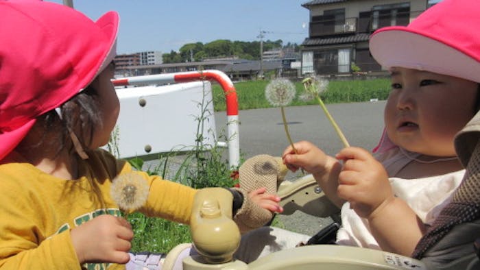 みんなのおうち保育園の保育理念・方針