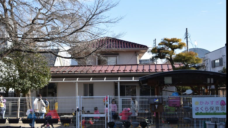 樹齢100年の桜の園庭がある小規模保育園