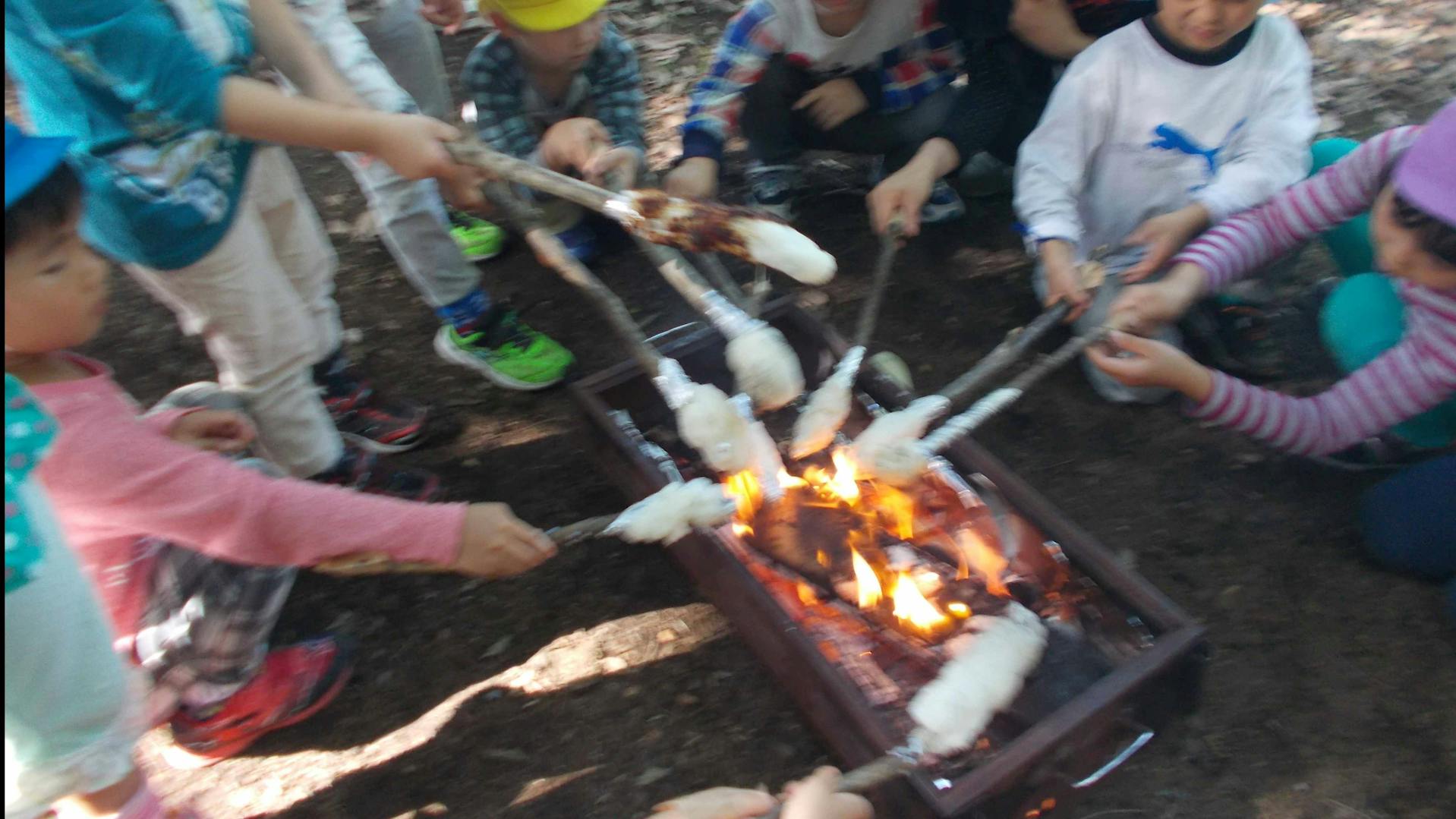 小規模で風通しよく、業務の分担もしっかりしています。