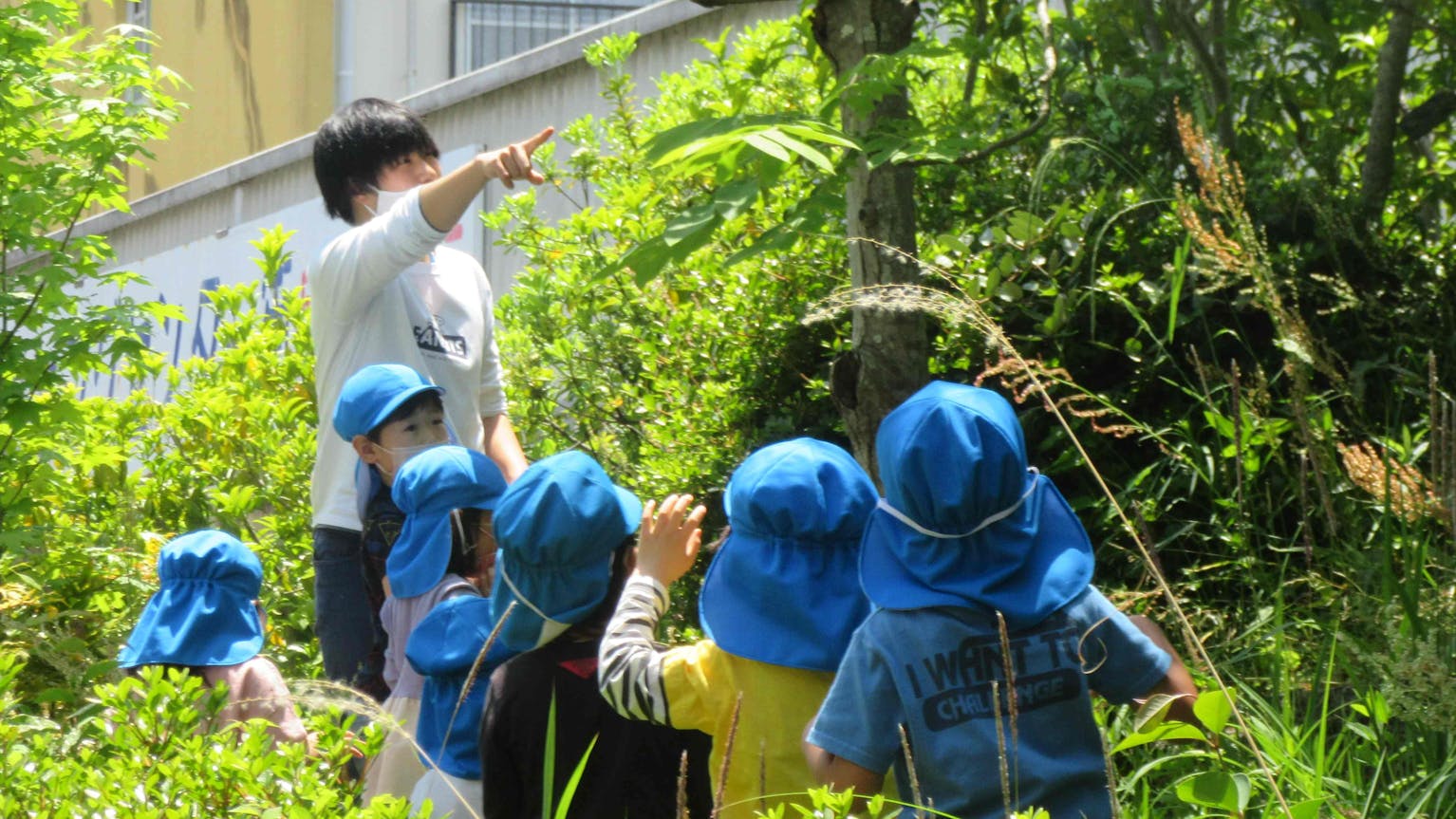 子ども達と四季折々の自然を身近に感じられる職場です